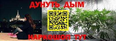 Альфа ПВП Краснодар